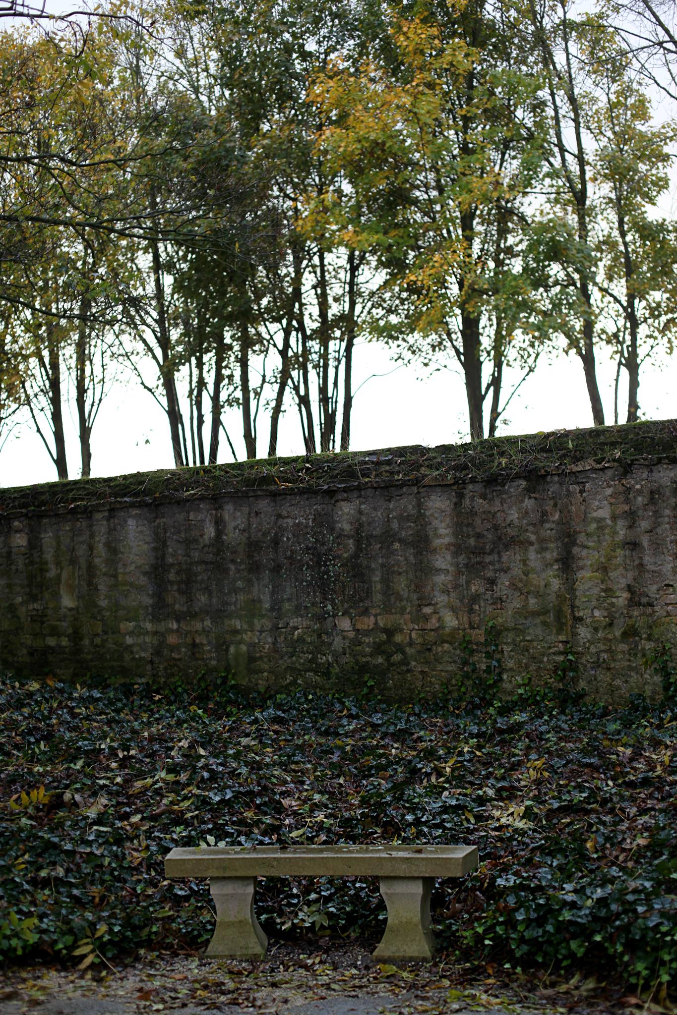 Abbaye D'Ardenne 01.jpg