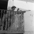 Private L.G. Kenny, Royal Canadian Regiment. Castropignano, Italy, 23 October 1943.