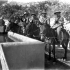 Pioneer platoon of the Royal Canadian Regiment watering their mules near Regalbuto, Italy, 4 August 1943.