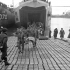 Canadian soldiers who were wounded in the Normandy beachhead being carried off a Landing Ship Tank (LST), Southampton, England, 8 June 1944.