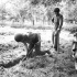 Signalman N.L. Garrant and G.K. Gree of the 9th Canadian Infantry Brigade digging a slit trench in the Normandy beachhead, France, ca. 8-9 June 1944.