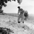 Private Joe Pakokis of The Loyal Edmonton Regiment standing at the grave of an Italian soldier near Pachino, Italy, 11 July 1943.