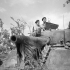 Lieutenant R.O. Campbell (left) of the Canadian Army Film and Photo Unit and Corporal H.H. Mowbray with a movie camera mounted on the turret of a Sherman tank near the Hitler Line, Italy, 23 May 1944.