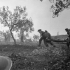A Canadian Regimental Aid Party carrying a wounded soldier, Italy, October 1943.