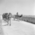 Canadian infantrymen on the march near Modica, Italy, 12 July 1943.