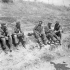 Private T.M. Collins of The Carleton and York Regiment searching German prisoners, Enna, Italy, 18 July 1943.