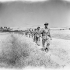 Infantrymen of the 48th Highlanders of Canada advancing towards Adrano, Italy, 18 August 1943.