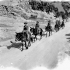 Personnel of the Pioneer Platoon, Support Company, Royal Canadian Regiment, using mules to transport supplies near Regalbuto, Italy, ca. August 1943.