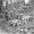 Company Sergeant-Major Irene Roy distributing rum ration to infantrymen of the Royal 22e Régiment, who are in weapon pits along the main road between Gildone and Campobasso, Italy, October 1943.