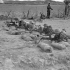 Infantrymen of the Royal 22e Regiment shooting target practice on a Bren gun range near Cattolica, Italy, ca. 24-25 November 1944.