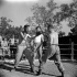 A boxing match at the Salvation Army Sports and Country Club, Piedemonte, Italy, 18 July 1944.
