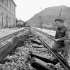 Sergeant F.H.J. Ricketts examining railway ties which were cut by the last German train through Carovilli, Italy, 26 November 1943.