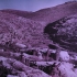 World War I: France, Belgium, Palestine, 1917-1918, Paget plates. Photographer Captain James Francis "Frank" Hurley.