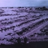 World War I: France, Belgium, Palestine, 1917-1918, Paget plates. Photographer Captain James Francis "Frank" Hurley.