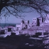World War I: France, Belgium, Palestine, 1917-1918, Paget plates. Photographer Captain James Francis "Frank" Hurley.