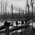 The shell shattered areas of Chateau Wood. Photographer Captain James Francis "Frank" Hurley.