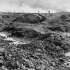 Derelict tanks knocked out of action by an enemy tank strafing gun. Photographer Captain James Francis "Frank" Hurley.