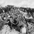 A halt in the Desert with the Australian Light Horse. Photographer Captain James Francis "Frank" Hurley.