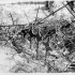 Beneath Barbed Wire