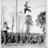 Pole Vault