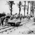 Building Light Railway